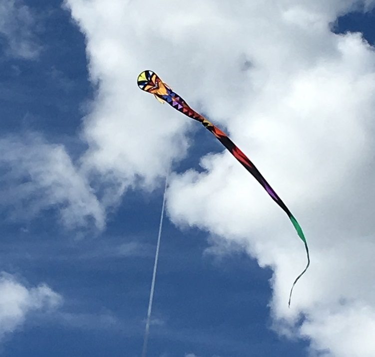Dragon Kite Flying